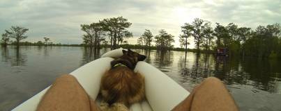 Kayak dans le bayou